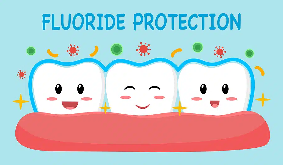 Dental Cartoon Character With Fluoride Protection Concept Vector
